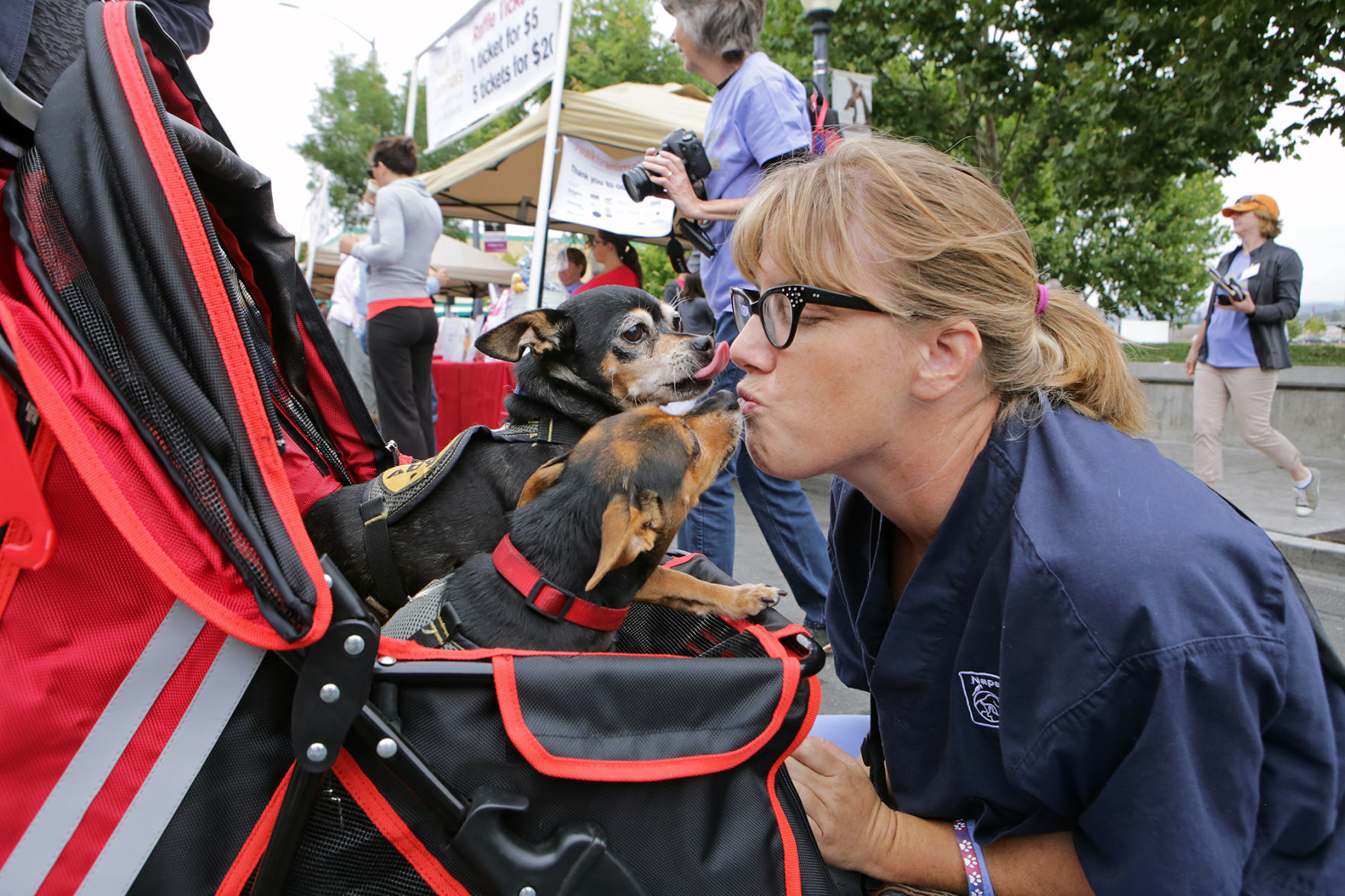 Napa Walk for Animals 2015